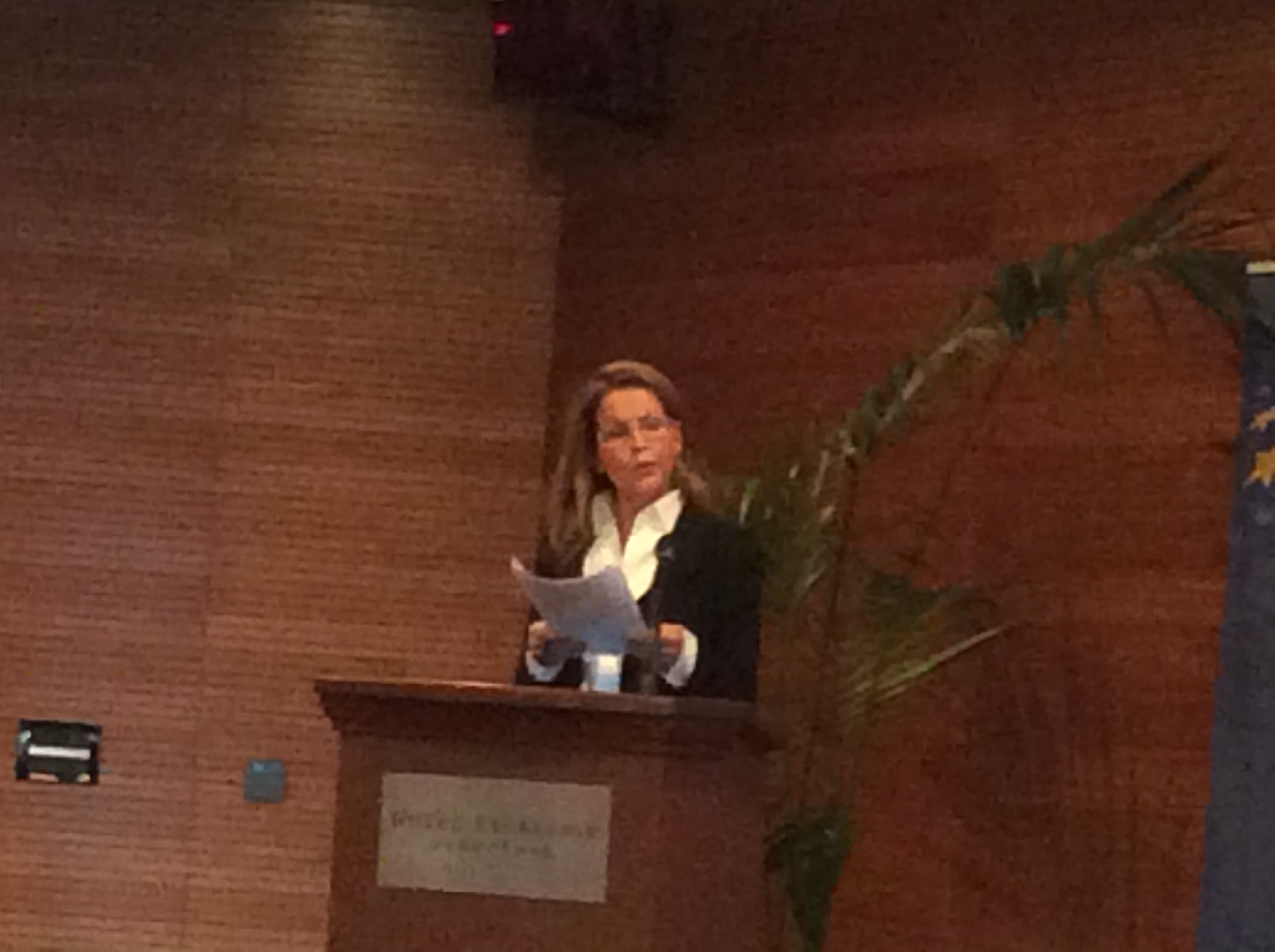 Réttindi barna í stjórnarskrám