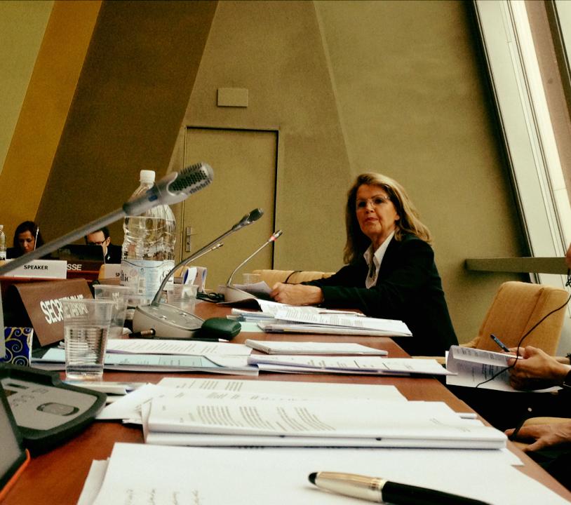 Tala á fundi Evrópuráðsnefndar um lagalega samvinnu aðildarríkja