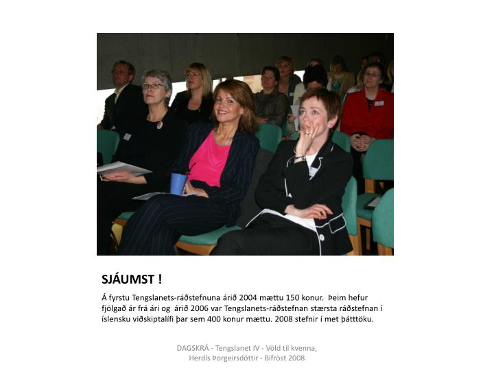 Jafnlaunavottun – skrif fyrir ráðstefnu á vegum ESB