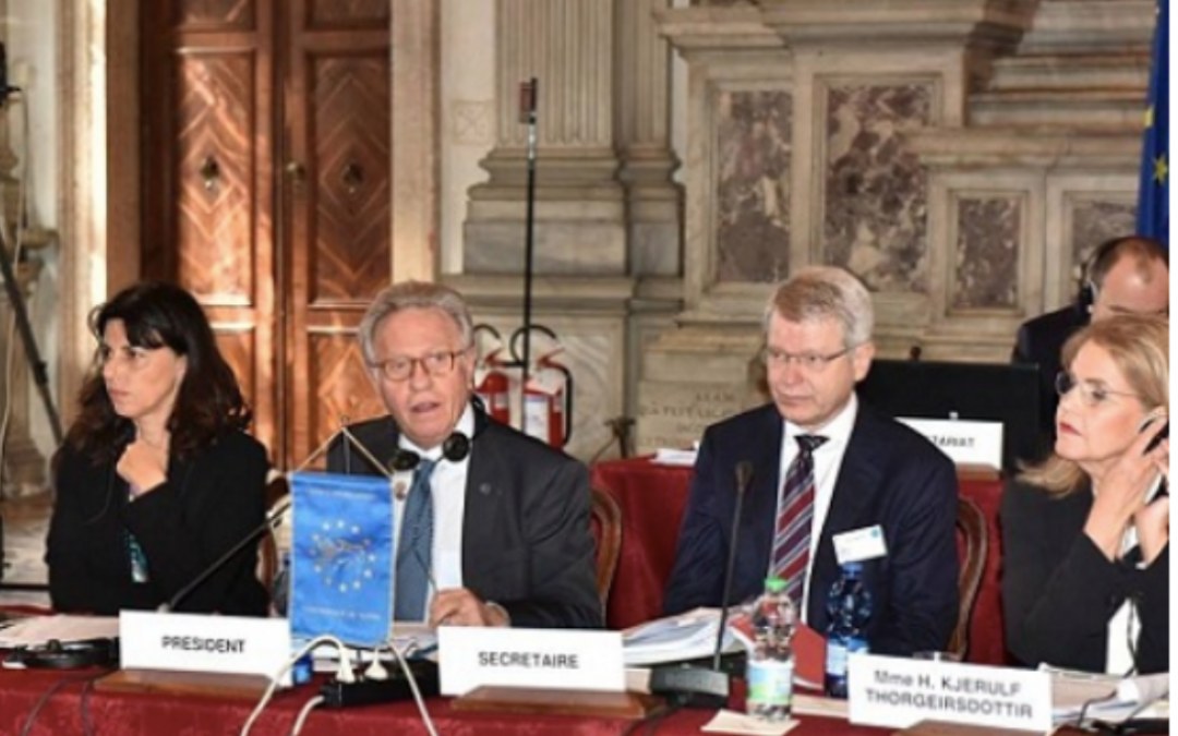 Störf fyrir Feneyjanefnd 2020