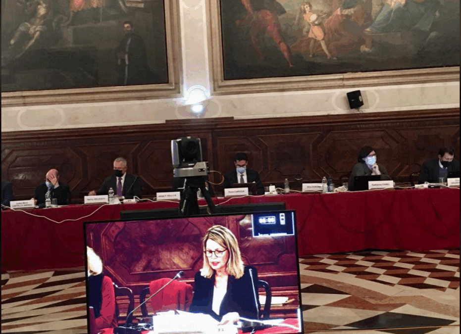 Talað fyrir áliti um Istanbul-samninginn