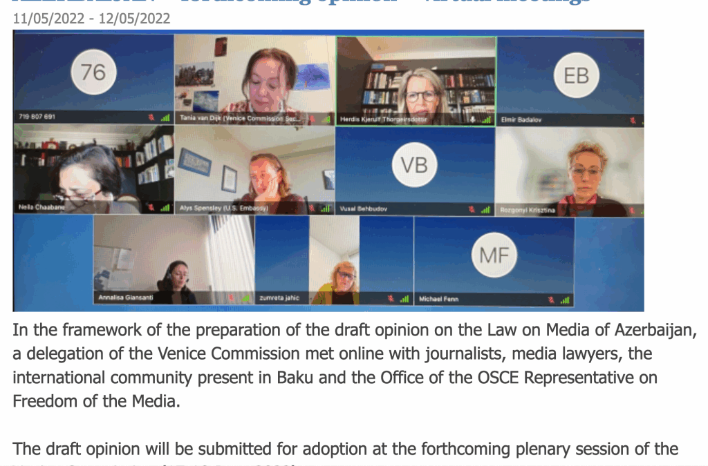 Umdeild fjölmiðlalög