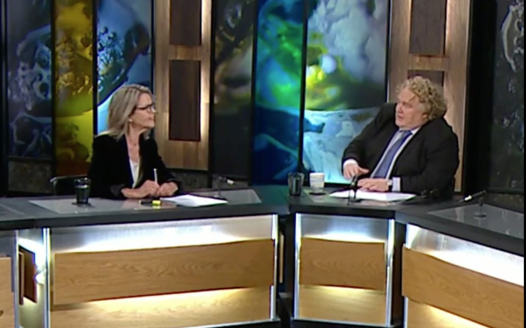 Í Silfrinu um risafyrirtæki utan hins stjórnskipulega ramma