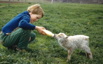 Guðbjörg Þorvarðardóttir dýralæknir 1951-2022