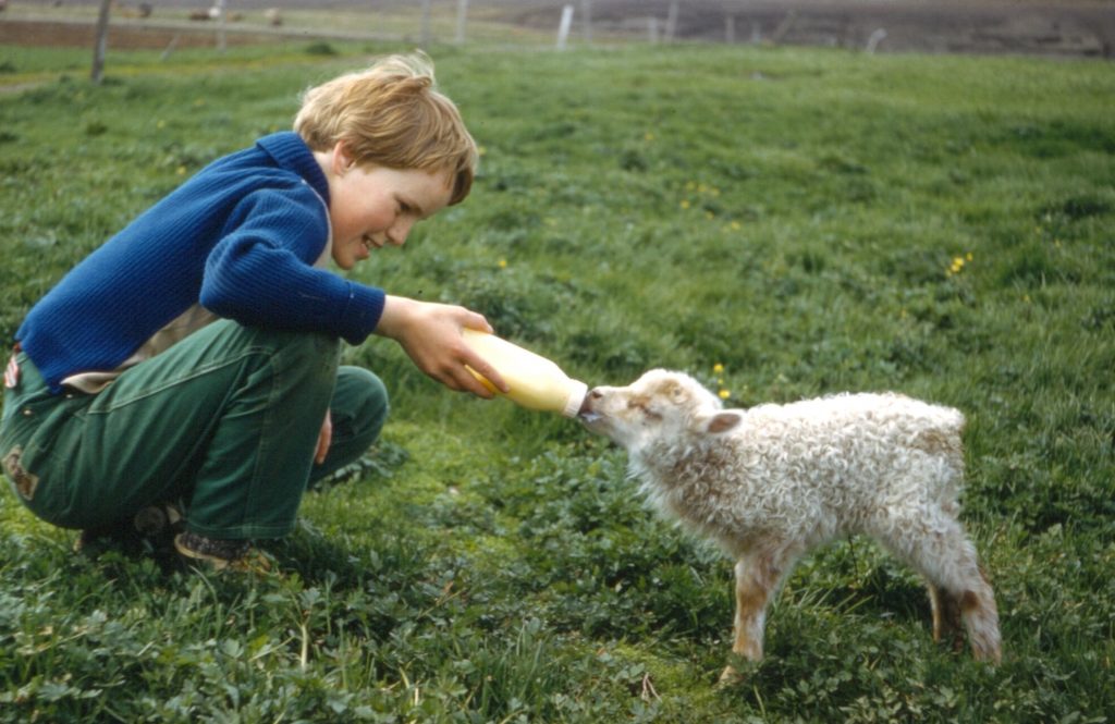 Guðbjörg Þorvarðardóttir dýralæknir 1951-2022