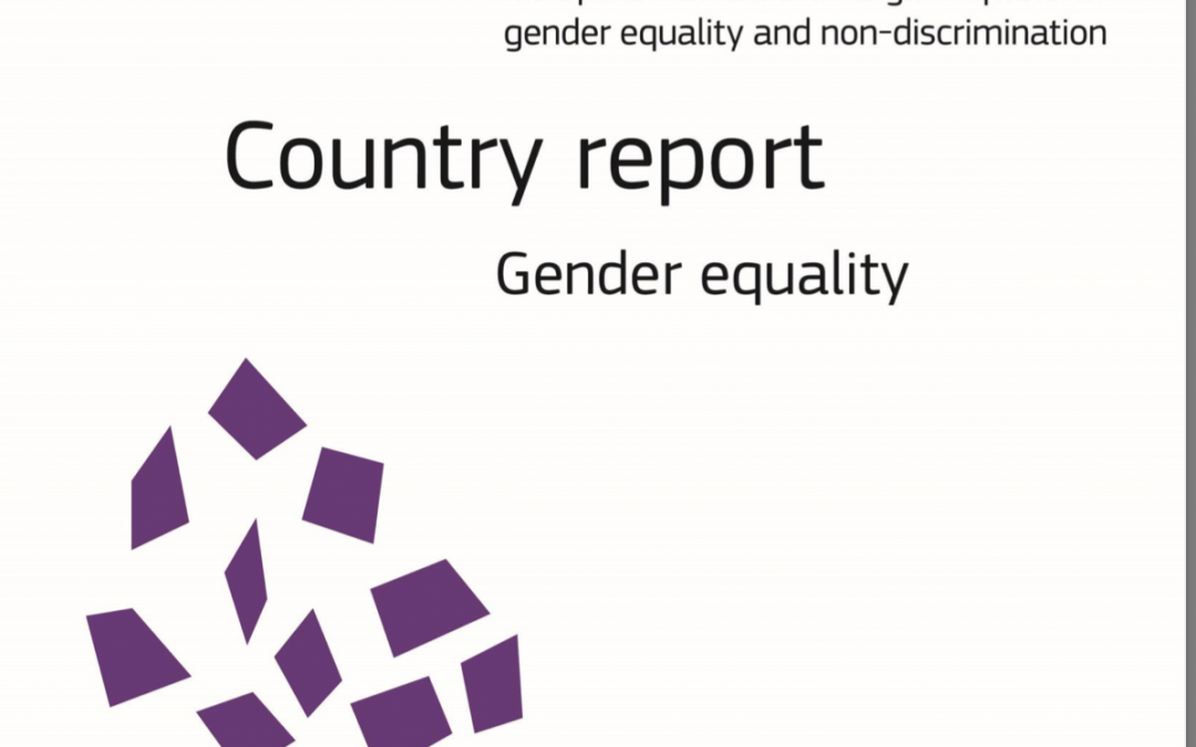 Framkvæmd jafnréttislaga 2022